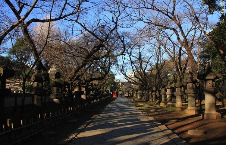 El Parque Ueno un deleite visual