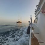 La experiencia más completa con Lovit Charter Puerto Banús