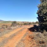 Las Cañadas Reales: Ganadería y biodiversidad en la Sierra Norte de Guadalajara