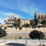 Palma de Mallorca, un gran escenario para disfrutar de las vacaciones